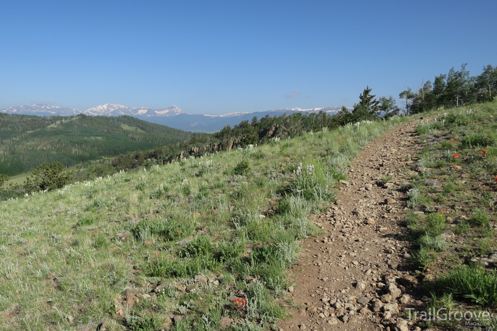 Hiking the Colorado Trail