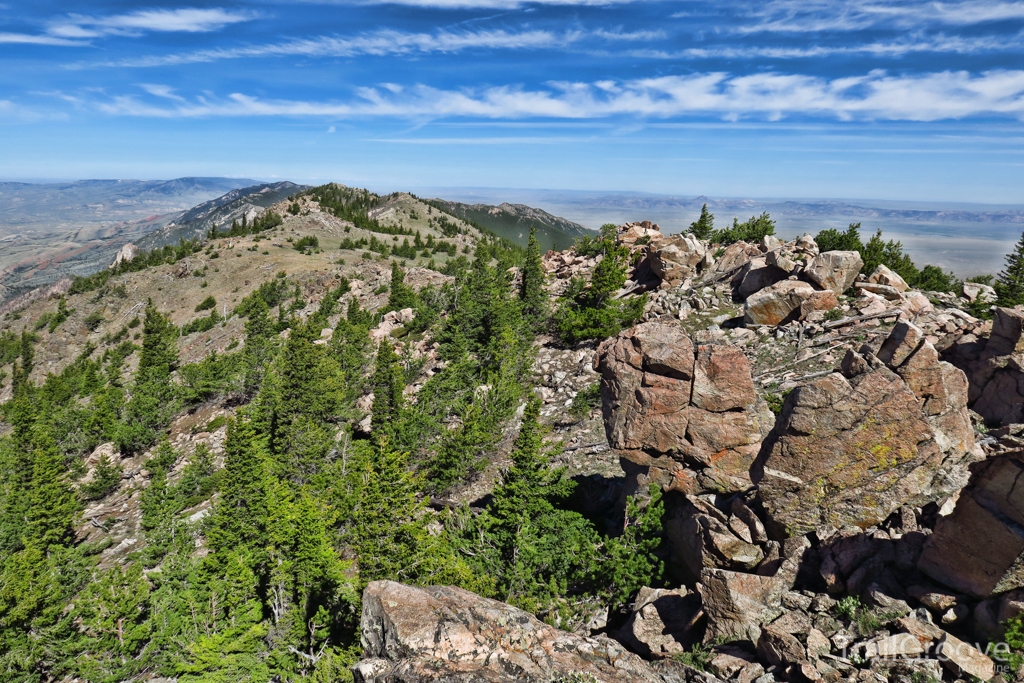 Ferris Mountains WSA Hike