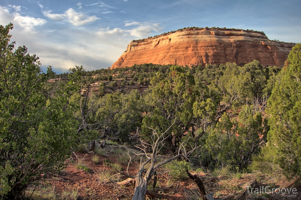 Hiking & Backpacking the Black Ridge Canyons Wilderness