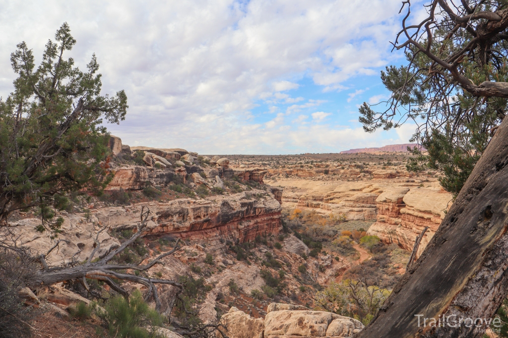 Hiking in Bears Ears National Monument