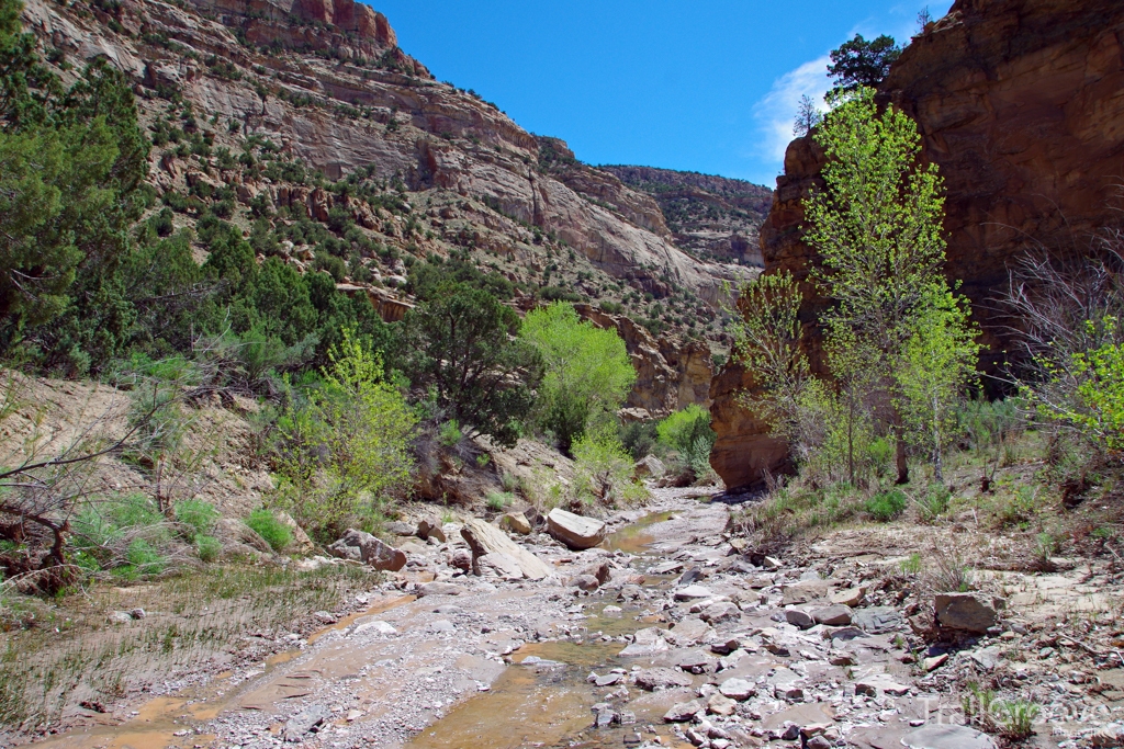 Little Bookcliffs Wilderness Study Area