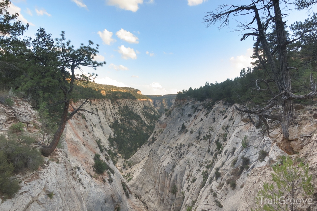 Canyon in Zion