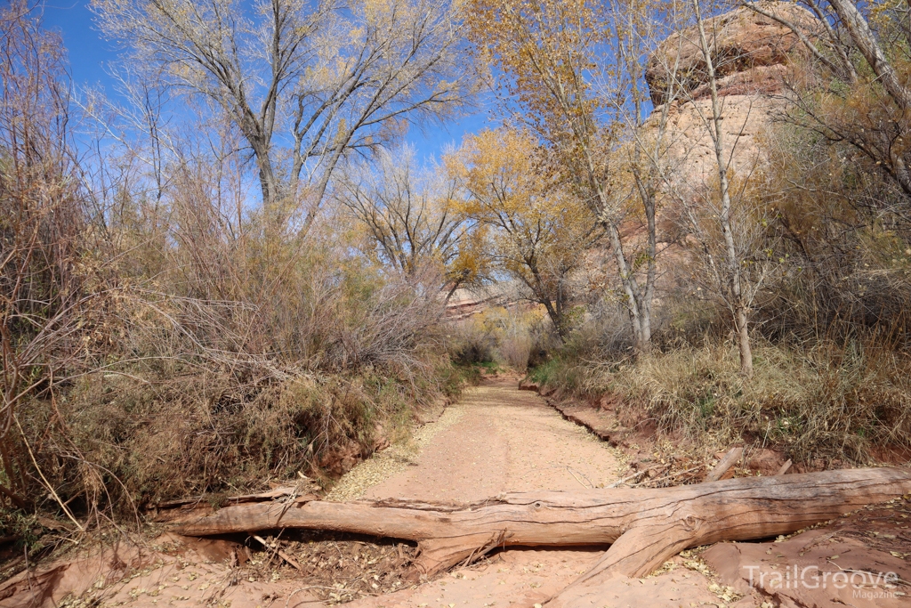 Bears Ears National Monument