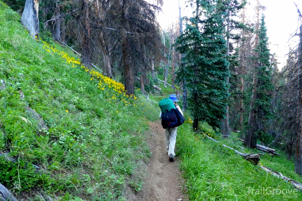 Backpacking the Colorado Trail