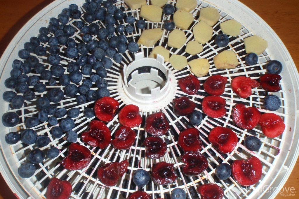 Dehydrating the Fruit