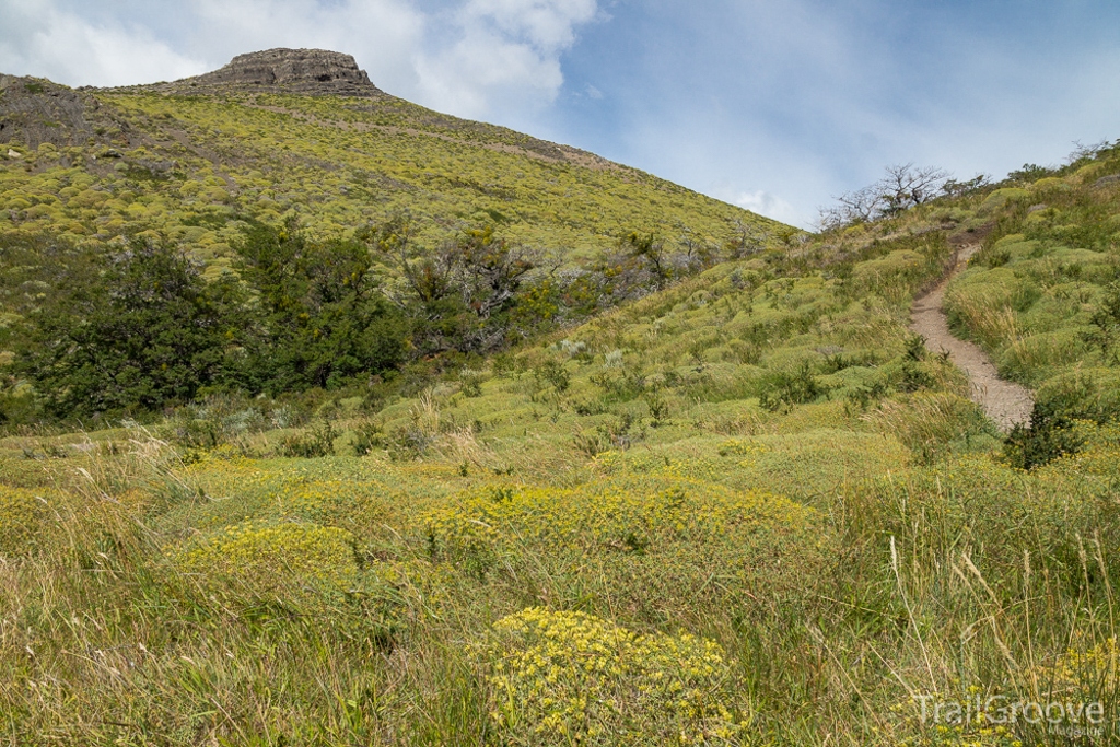 Meadow on Patagonia's O Circuit Hike