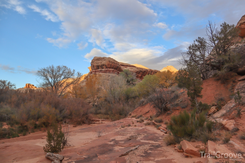 Bears Ears Canyon Walls at Sunset